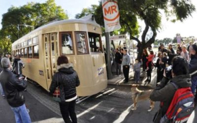 El histórico tranvía 277 circulará por Av. Wheelwright este lunes