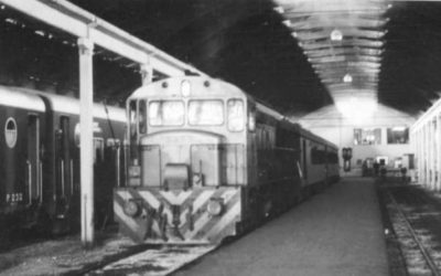 Toniolli: «Volver al tren es hoy un imperativo categórico»