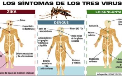 Nuevos casos de Dengue en Santa Fe elevan el número a 130