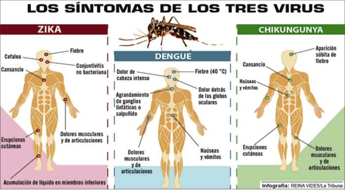 Nuevos casos de Dengue en Santa Fe elevan el número a 130