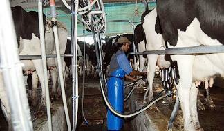 Analizan propuestas para el sector lechero santafesino