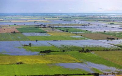 Situación santafesina por las lluvias y crecidas de arroyos