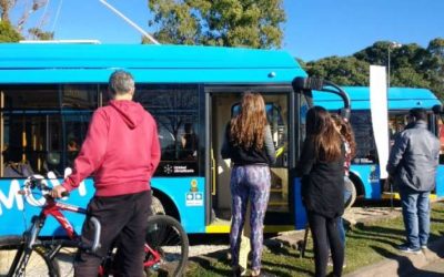 Troles y colectivos antiguos y modernos en la calle Recreativa