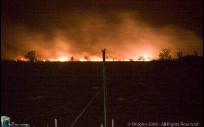 «La Ley de Humedales puede ser una solución de fondo a la quema en las islas»