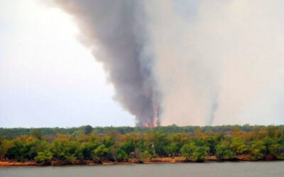 «Todo el humo que afectaba directamente a Rosario está absolutamente controlado»