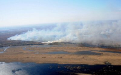 «Queremos que se identifique a los responsables y se les haga cumplir la ley»