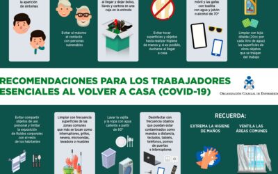 Responsabilidad, principio básico de una sociedad organizada