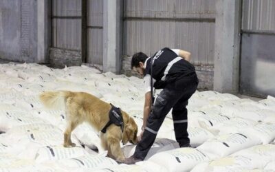 Condenaron a los trece integrantes de la llamada banda ‘Narco Arroz’