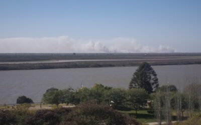 Paradoja: Densas columnas de humo en las islas, mientras analizaba dicha problemática el Concejo Municipal