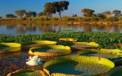 Propusieron para Santa Fe la creación de un cuerpo provincial de guardaparques