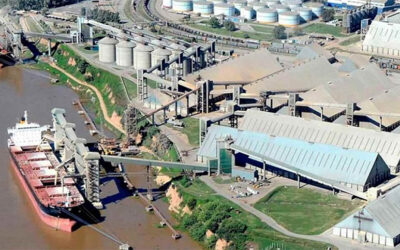 Vicentín: AFIP denunció a la cerealera por maniobras fraudulentas con facturas apócrifas por $ 110 millones