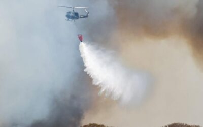 Puerto Gaboto: Brigadistas controlaron incendios que amenazaban viviendas de isleños