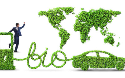 Por iniciativa de la senadora Sacnun se prorroga el régimen de promoción del biocombustible hasta 2024