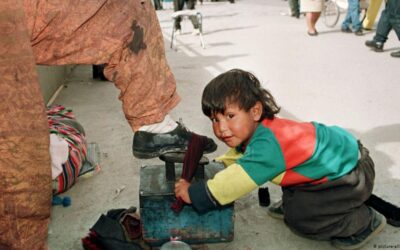 Lorena Uliedin: «El Estado debe protegerlos, el trabajo no es cosa de chicos»