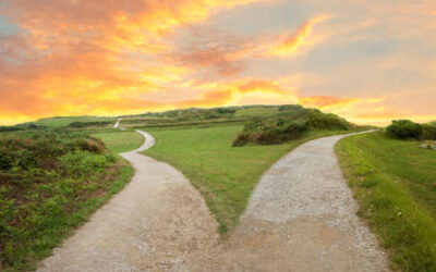 Desde la Psicología: ‘Mente de principiante y el mapa interior’