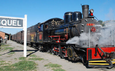 ¿Otra vez el ‘Viejo Expreso Patagónico’ y ‘La Trochita’ olvidados por la política?