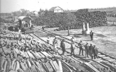 El PJ santafesino recordó el centenario de la llamada ‘Masacre de La Forestal’