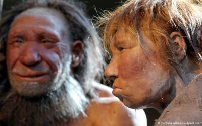 Introspecciones: ‘La isla donde se encogen las especies’