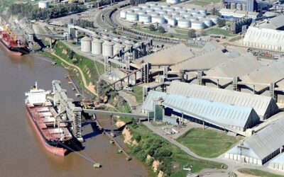 Vicentín o las ficciones para lavar dinero