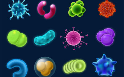 Reflexiones: ‘El lado B de los virus’