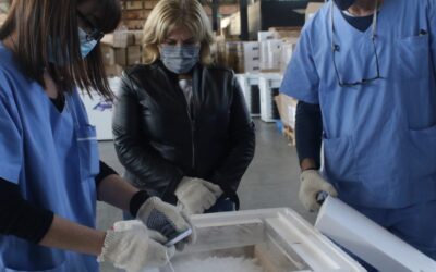 Casi 20 mil dosis de vacuna Pfizer llegaron a Santa Fe para chicos de 12 a 17 años