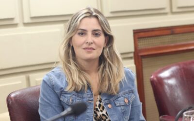Diputada provincial socialista le reclamó al gobernador santafesino Omar Perotti su plan de seguridad