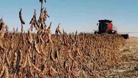 Bolsa de Comercio rosarina rematará el venidero 21 de abril el primer lote de soja 2022
