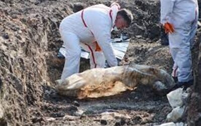 Ucrania halló otra fosa común con cuerpos de civiles en la localidad de Buzova