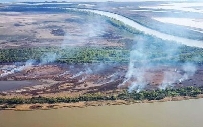 Diputados y senadores nacionales de JxC impulsan proyecto para conservar los Humedales del Paraná