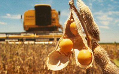 «El dólar soja no es la solución a los problemas de fondo del campo», afirmó José Núñez