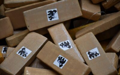 Los misteriosos cargamentos de marihuana de ‘King Kong’