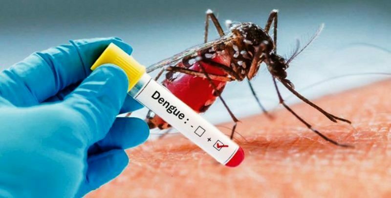 Confirmaron en Rosario medio centenar de casos de Dengue, entre autóctonos e importados