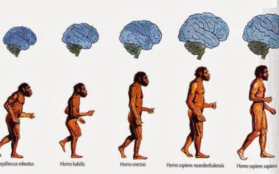 Apuntes sobre educación y la necesidad de obtener seres humanos evolucionados