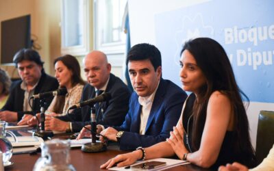 Causa Malvinas: Diputados de ‘Unión por la Patria’ pidieron juicio político a la canciller Diana Mondino