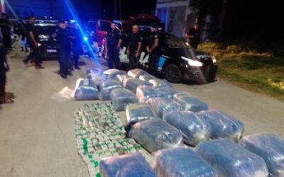 Nuevo emprendimiento: Pareja de Salta vendería coca sin procesar en Rosario