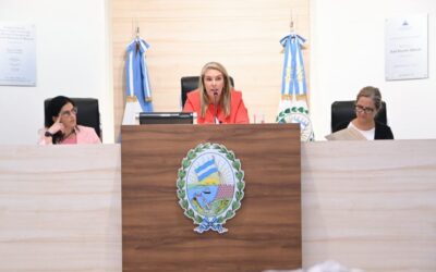 El Observatorio Vial trabajó sobre prevención de accidente de tránsito en Concejo Municipal