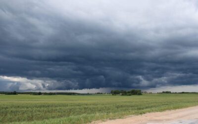 Las intensas precipitaciones caídas en la Región Centro generan complicaciones en la cosecha sojera