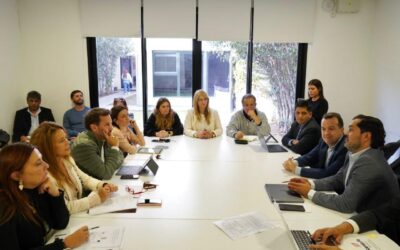 Importante reunión de diputados provinciales de Asuntos Laborales con el ministro Roald Báscolo