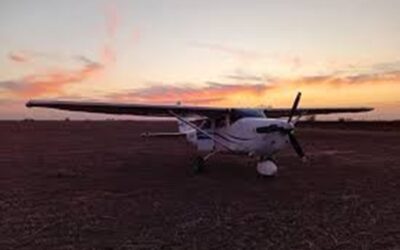 Detienen a dos narcos tras descenso clandestino de una avioneta en Estación Díaz