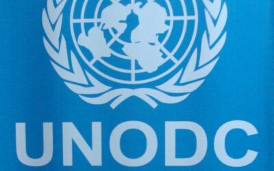 Informe de la UNODC expone «inestabilidad global» por el fenómeno de las drogas ilegales