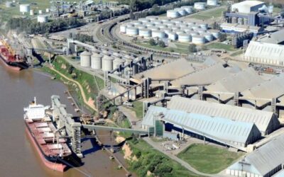 El Puerto de Rosario marcó el pasado julio un nuevo récord en toneladas embarcadas