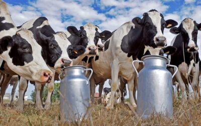 Santa Fe fortalece al sector de la lechería con alivio fiscal e inversión en infraestructuras