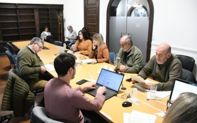 Promueven en el Concejo la creación de una mesa de trabajo municipal en torno a las baterías de litio