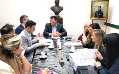 San Lorenzo es el primer municipio en enviar un proyecto de declaración de autonomía municipal al Concejo