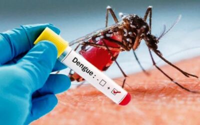Objetivo Dengue: En Santa Fe ya se colocaron más de 145 mil vacunas y ahora incorporan a los adolescentes de áreas priorizadas