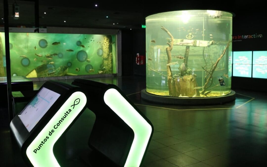 Por el Acuario de Rosario pasaron en el 2025 más de 110 mil visitantes fortaleciendo su impacto educativo y territorial