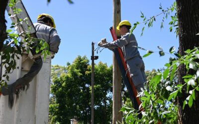 Vasto control de conexiones clandestinas de electricidad practica la Cooperativa Integral Limitada en Villa Gobernador Gálvez