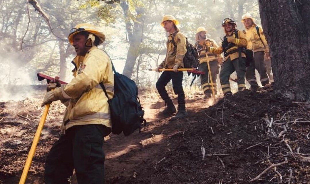 Argentinidad al palo: Brigadistas santafesinos combaten el fuego, hacen cortafuegos y contención de focos ígneos en Chubut