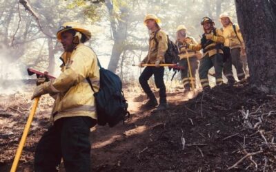 Argentinidad al palo: Brigadistas santafesinos combaten el fuego, hacen cortafuegos y contención de focos ígneos en Chubut