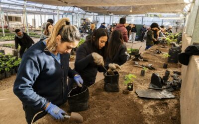 Escuela Municipal de Jardinería: Más de 30 años fortaleciendo la inclusión y la formación en oficios